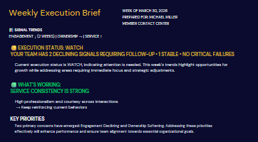 EI Manager Briefing sample